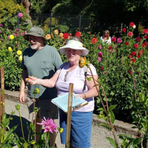 Federation of Northwest Dahlia Growers – Supporting Dahlia Growers in ...